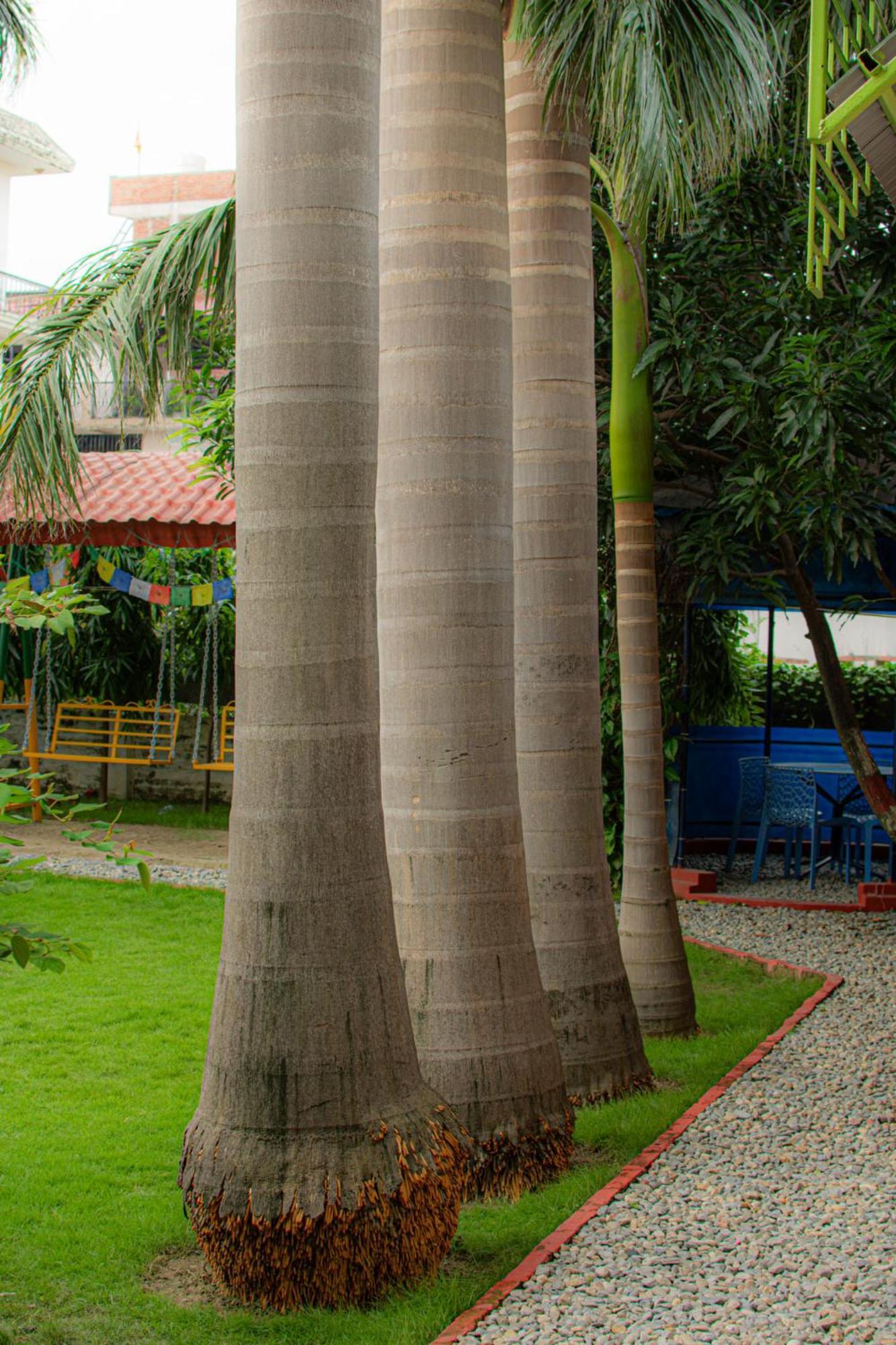Galaxy Guest House Bhairāhawā Exterior foto